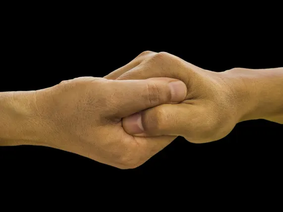 Kasino Stake 7 Sokongan